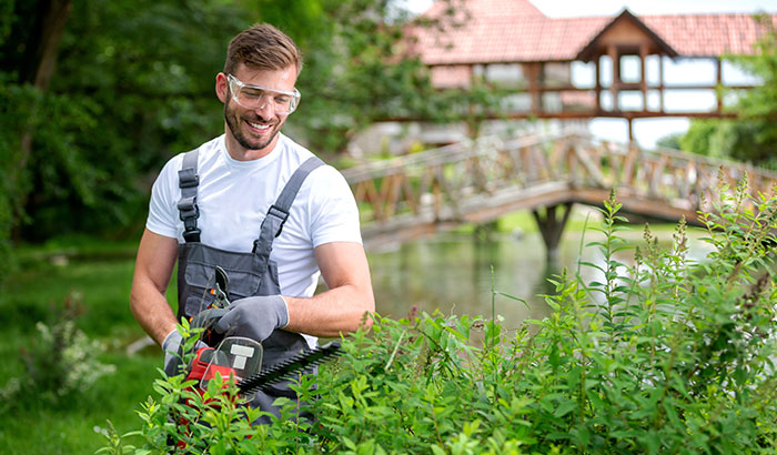 3 Reasons Why Every Business in Utah Needs Professional Landscaping